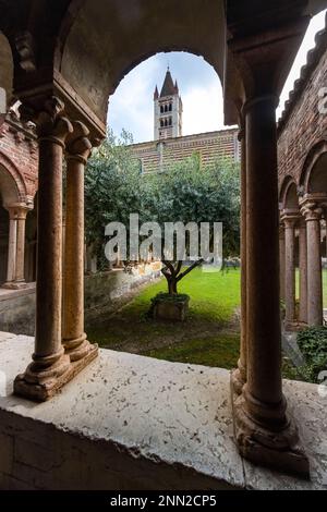 Colonnes, arches et arrière-cour du cloître de l'église Basilica di San Zeno Maggiore, construit entre 967 et 1398 après J.-C. Banque D'Images