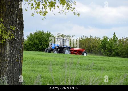 QUARTIER TELENESTI, MOLDOVA - MAI 2019: Tracteur à roues conducteur fertilisant le blé d'hiver avec des engrais minéraux. Alimentation des céréales. Rural la Banque D'Images