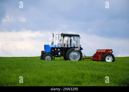 QUARTIER TELENESTI, MOLDOVA - MAI 2019: Tracteur à roues conducteur fertilisant le blé d'hiver avec des engrais minéraux. Alimentation des céréales. Rural la Banque D'Images