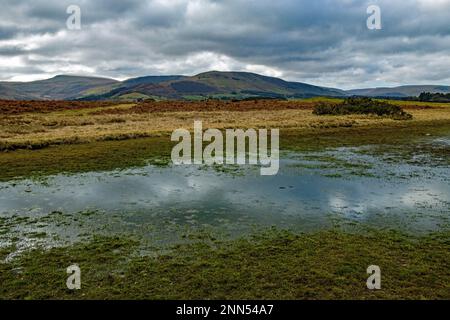 Vue sur l'étang sur Mynydd Illtyd commune à Fan Fryych et à sa gauche Fan Fawr dans le parc national central de Brecon Beacons Banque D'Images