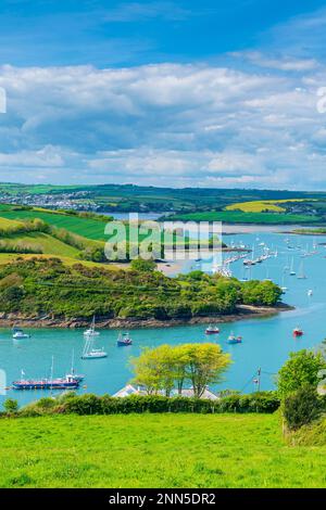 Salcombe vu de East Portlerouth, Devon, Angleterre, Royaume-Uni, Europe Banque D'Images