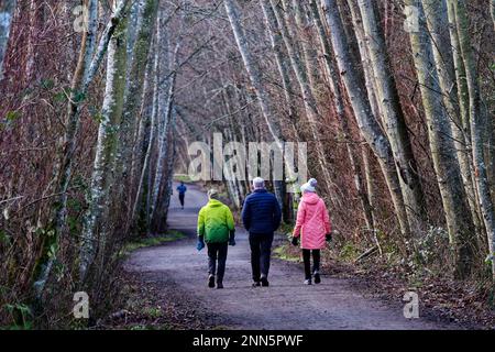 Un groupe de personnes marchant sur le chemin entre les arbres qui poussent d'eux Banque D'Images