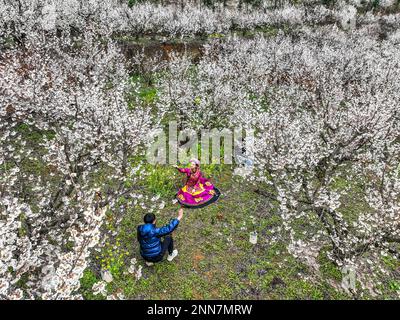 BIJIE, CHINE - 25 FÉVRIER 2023 - les touristes voient les cerisiers en fleur dans le village de Taoying de Bijie City, dans la province de Guizhou, dans le sud-ouest de la Chine Banque D'Images