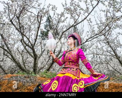 BIJIE, CHINE - 25 FÉVRIER 2023 - les touristes voient les cerisiers en fleur dans le village de Taoying de Bijie City, dans la province de Guizhou, dans le sud-ouest de la Chine Banque D'Images