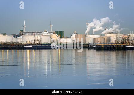 Raffinerie de pétrole de Harbourside avec cheminées qui fument la fumée blanche au crépuscule. Les éoliennes sont en arrière-plan. Banque D'Images