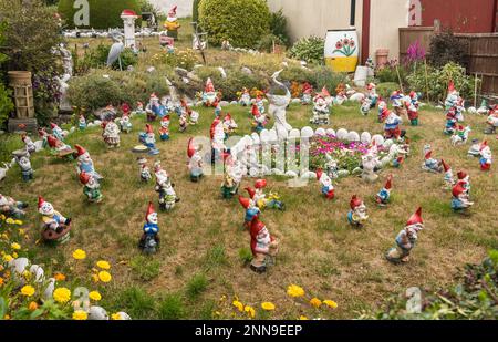 Stanley, îles Falkland - 31 janvier 2023 : le jardin de Gnome dans la ville de Stanley Banque D'Images