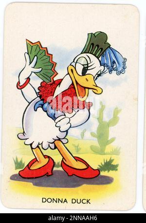 Carte mettant en vedette DONNA DUCK de Symphonies battues JEU DE cartes WALT DISNEY publié en 1939 au Royaume-Uni par Pepys Games avec la permission de Walt Disney - Mickey Mouse Ltd Banque D'Images