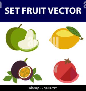 Illustration des différents types de fruits sur fond blanc Illustration de Vecteur