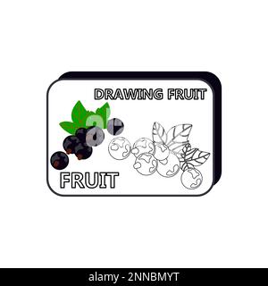 Comment dessiner une illustration vectorielle des bleuets. Dessinez les bleuets étape par étape. Guide de dessin Blueberry. Guide de dessin mignon et facile. Illustration de Vecteur