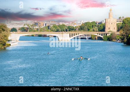 La Torre del Oro et le Guadalquivir à Séville Banque D'Images