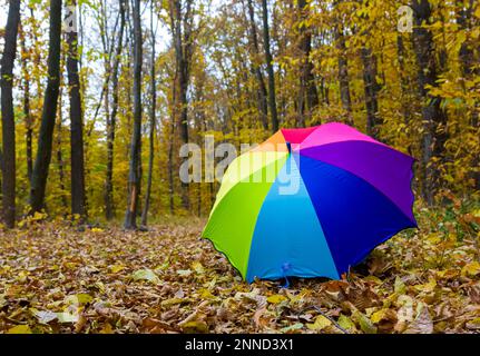 Parapluie coloré couché sur des feuilles jaunes en automne. Banque D'Images