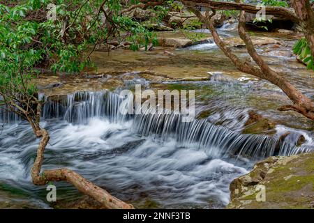 Une crique descendant le long de la montagne avec de petites cascades le long du chemin avec des arbres accrochés de la côte vue rapprochée Banque D'Images