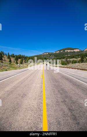 La forêt nationale de Bighorn, au Wyoming, sur l'autoroute 16 avec le pin gris (Pinus flexilis) qui pousse dans les falaises rocheuses, à la verticale Banque D'Images