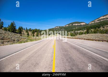 La forêt nationale de Bighorn, au Wyoming, sur l'autoroute 16 avec le pin gris (Pinus flexilis) qui pousse dans les falaises rocheuses, à la verticale Banque D'Images