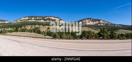 Forêt nationale de Bighorn dans le Wyoming avec le pin limber (Pinus flexilis) croissant dans les falaises rocheuses, panorama Banque D'Images