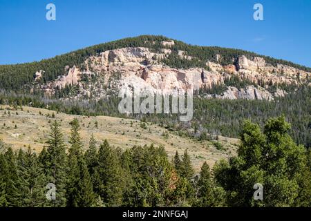 Forêt nationale de Bighorn au Wyoming avec pin limber (Pinus flexilis) croissant dans les falaises rocheuses, à l'horizontale Banque D'Images