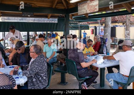 Les anciens cubains jouent des dominos au parc Maximo Gomez de Little Havana, Miami Banque D'Images