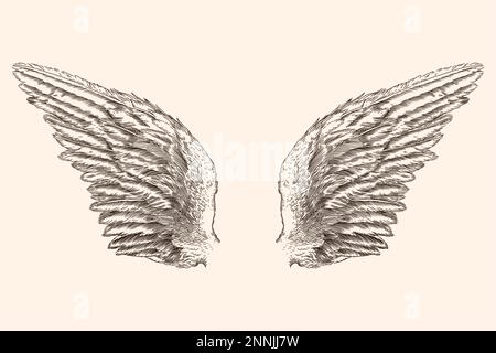 Deux ailes d'un ange. Illustration de Vecteur