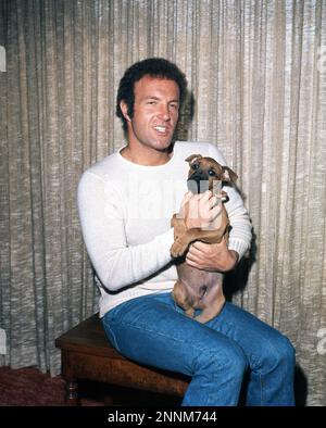 JAMES CAAN avec son chien dans sa maison de Beverly Hills, en Californie, en avril 1972 Banque D'Images