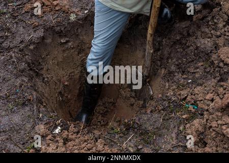 Un trou profond pour planter de jeunes arbres fruitiers, être creusé par une jambe de homme dans une botte et une pelle lors d'une journée de wintry Banque D'Images