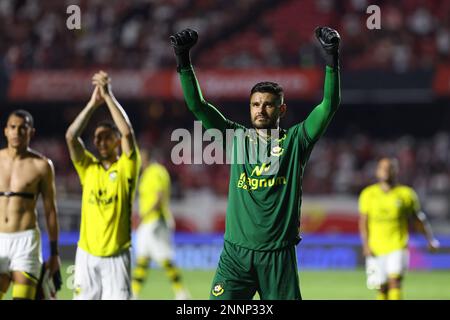 Sao Paulo, Brésil. 25th févr. 2023. SP - Sao Paulo - 02/25/2023 - PAULISTA 2023, SAO PAULO X SAO BERNARDO - les joueurs de Sao Bernardo célèbrent leur victoire à la fin du match contre Sao Paulo au stade Morumbi pour le championnat Paulista 2023. Photo: Marcello Zambrana/AGIF/Sipa USA crédit: SIPA USA/Alay Live News Banque D'Images