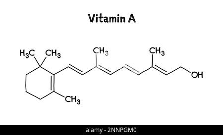 Structure moléculaire de la vitamine A. La vitamine A est importante pour la vision humaine. .Formule structurelle vectorielle de composé chimique. Stylo noir de style dessiné à la main. Illustration de Vecteur