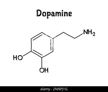 Structure moléculaire de la dopamine. La dopamine est un neurotransmetteur qui joue un rôle important dans le corps humain. .Formule structurelle vectorielle de composé chimique. Stylo noir de style dessiné à la main. Illustration de Vecteur