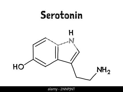 Structure moléculaire de la sérotonine. La sérotonine est un neurotransmetteur monoamine modulant l'humeur, la cognition, la récompense, l'apprentissage, la mémoire et d'autres fonctions. .Formule structurelle vectorielle de composé chimique. Stylo noir de style dessiné à la main. Illustration de Vecteur