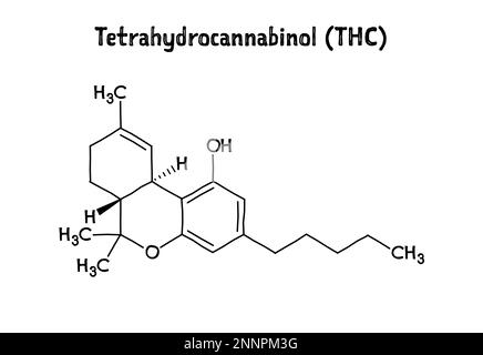 Tétrahydrocannabinol, ou THC, structure moléculaire. Le tétrahydrocannabinol est le principal médicament psychoactif du cannabis. .Formule structurelle vectorielle de composé chimique. Stylo noir de style dessiné à la main. Illustration de Vecteur