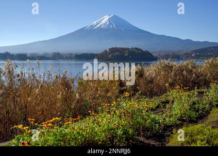 Volcan Fuji ou Fudschijama avec sommet enneigé, 3776 mètres, avec lac Kawaguchi, près de Fujikawaguchiko, préfecture de Yamanashi, Île Honshu Banque D'Images