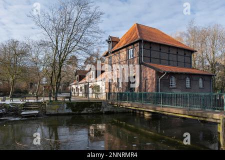 Moulin de Plagemann, moulin à eau de grain restauré avec scierie, Metelen, Muensterland, Rhénanie-du-Nord-Westphalie, Allemagne Banque D'Images