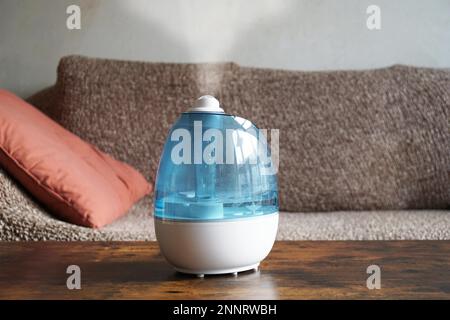 Humidificateur d'air ou dans la salle de séjour improver pour améliorer le climat d'intérieur Banque D'Images