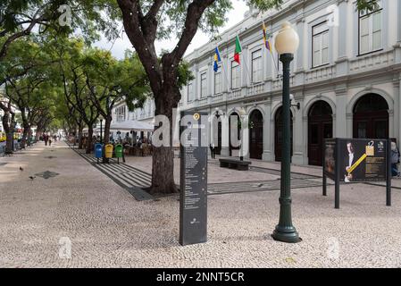 Avenida Arriaga, promenade, Funchal, Madeira, Portugal Banque D'Images