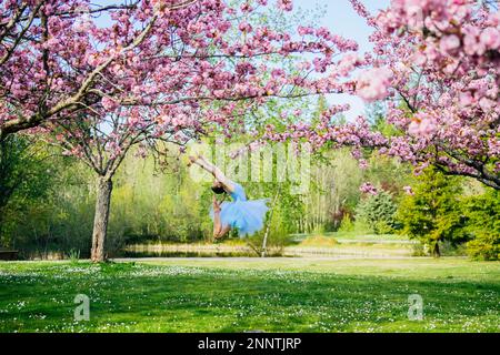 Ballerine en robe bleue sous cerisiers en fleurs, parc Battle point, île de Bainbridge, Washington, États-Unis Banque D'Images