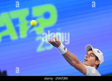 Doha, Qatar. 25th févr. 2023. Andy Murray de Grande-Bretagne sert pendant la finale contre Daniil Medvedev de Russie au ATP250 Qatar Open 2023 à Doha, Qatar, le 25 février 2023. Credit: Nikku/Xinhua/Alay Live News Banque D'Images