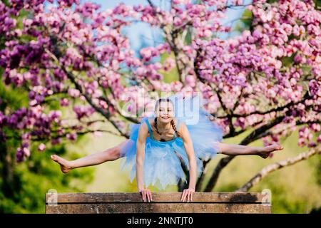 Ballerine en robe bleue sous cerisiers en fleurs, parc Battle point, île de Bainbridge, Washington, États-Unis Banque D'Images