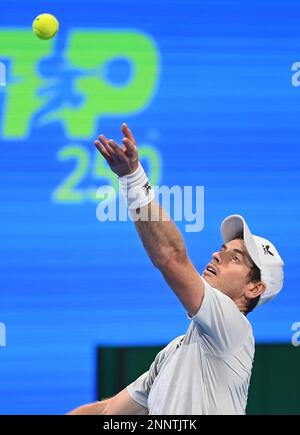 Doha, Qatar. 25th févr. 2023. Andy Murray de Grande-Bretagne sert pendant la finale contre Daniil Medvedev de Russie au ATP250 Qatar Open 2023 à Doha, Qatar, le 25 février 2023. Credit: Nikku/Xinhua/Alay Live News Banque D'Images