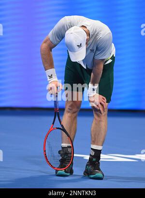 Doha, Qatar. 25th févr. 2023. Andy Murray de Grande-Bretagne réagit lors de la finale contre Daniil Medvedev de Russie au ATP250 Qatar Open 2023 à Doha, Qatar, le 25 février 2023. Credit: Nikku/Xinhua/Alay Live News Banque D'Images