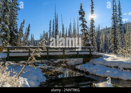 Pont au-dessus du chenal de la rivière Bow sous un ciel bleu clair, Lake Louise, Alberta, Canada Banque D'Images