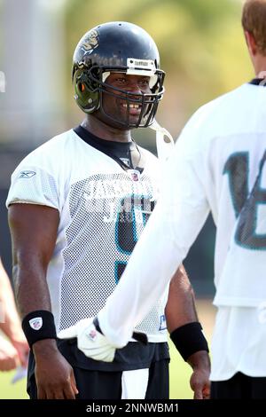 Jaguars #9 quarterback David Garrard tackled by Jets #30 Drew Coleman  before he can get the