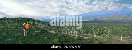 Randonneurs regardant le cratère de Kilauea et Mauna Loa, parc national des volcans d'Hawaï, îles d'Hawaï, États-Unis Banque D'Images