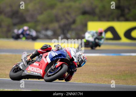 Phillip Island, Australie, 26 février 2023. Iker Lecuona de l'ESP sur l'écurie Honda Team HRC lors du Championnat du monde de Superbike FIM 2023 au circuit de Phillip Island sur 26 février 2023 à Phillip Island, en Australie. Crédit : Dave Helison/Alamy Live News Banque D'Images