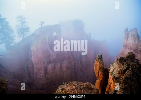 Brouillard sur les formations rocheuses de Bryce Canyon, Utah, États-Unis Banque D'Images