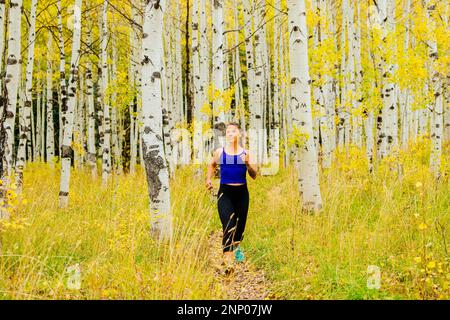 Femme jogging dans la forêt de bouleau en automne, Durango, Colorado, Etats-Unis Banque D'Images