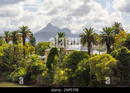 Vue sur le mont Warning aka Wollumbin près de murwilumbah, Nouvelle-galles du Sud, australie Banque D'Images