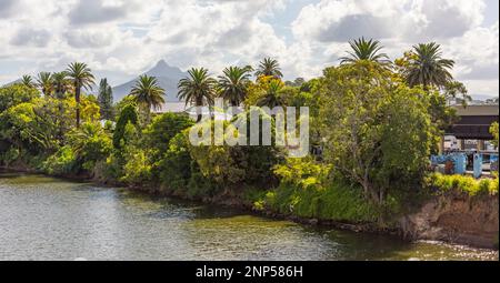 Vue sur le mont Warning aka Wollumbin près de murwilumbah, Nouvelle-galles du Sud, australie Banque D'Images