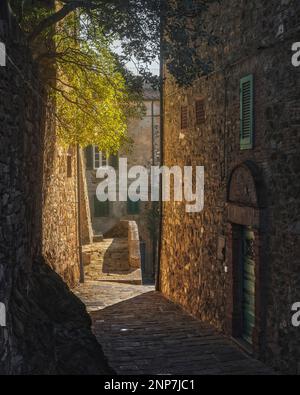 Campiglia Marittima village médiéval, rue ensoleillée. Toscane, Italie, Europe. Banque D'Images