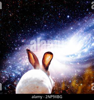 Lapin de Pâques en gros plan avec une galaxie nébuleuse colorée, un arrière-plan cosmique abstrait – Illustration numérique Banque D'Images