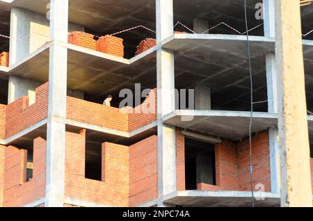 Deux constructeurs ont posé des murs de briques dans une nouvelle maison multi-appartement en construction en Russie. Banque D'Images