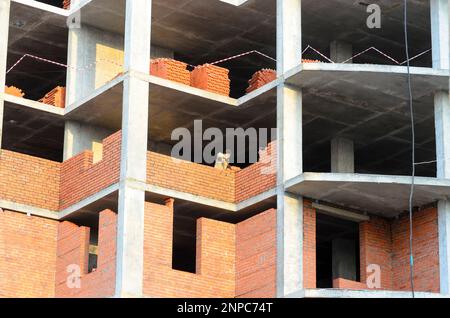 Deux constructeurs ont posé des murs de briques dans une nouvelle maison multi-appartement en construction en Russie. Banque D'Images